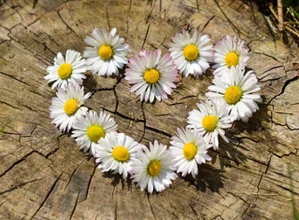 Quelle: Pixabay