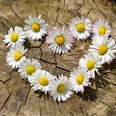 Quelle: Pixabay