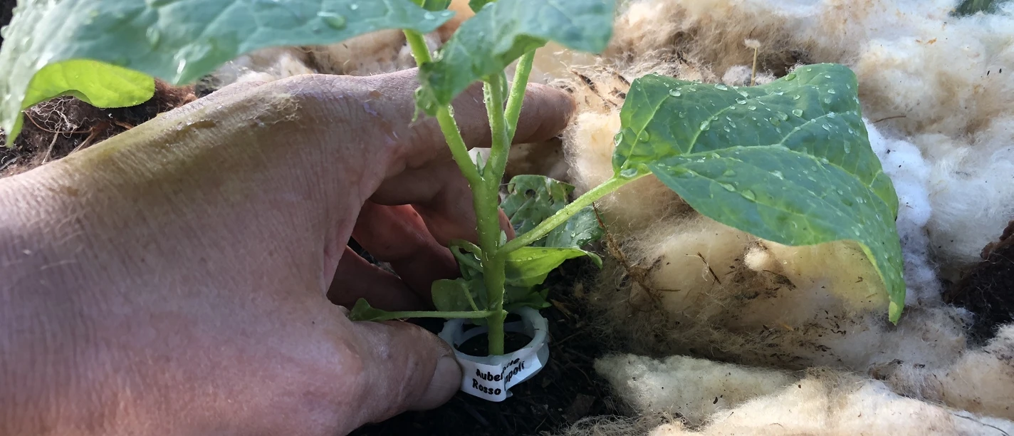 H554bdf1eoj1943qsmyyplrpvjqeiyjt