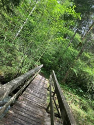 Brücke Alpenbock