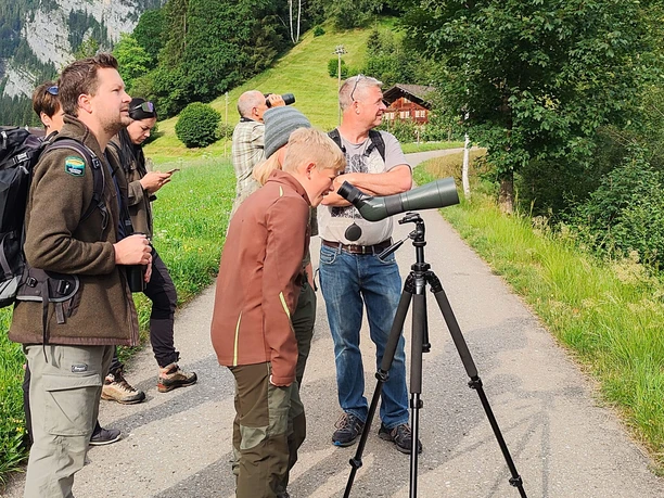 Rehe beobachten ohne sie zu stören