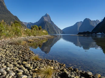 NZ191919 Verbessert RR