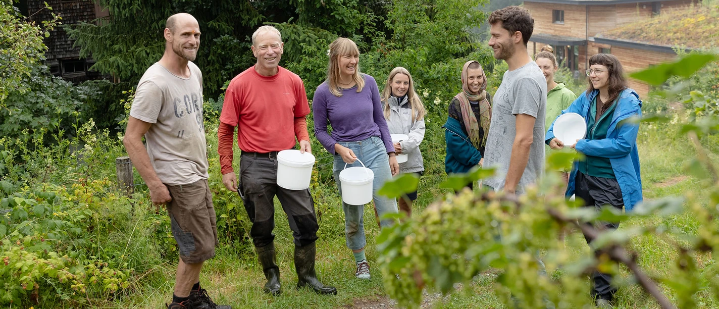 Spezialführung: Waldgarten und mehrjähriges Gemüse