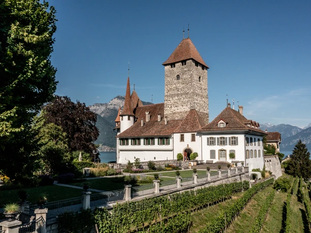 Schloss Spiez / Foto: Tobias Schmid