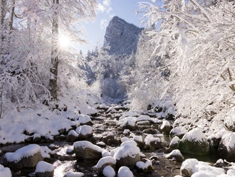 A. Wittwer Photography