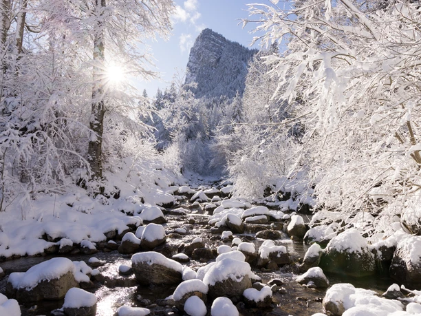 A. Wittwer Photography
