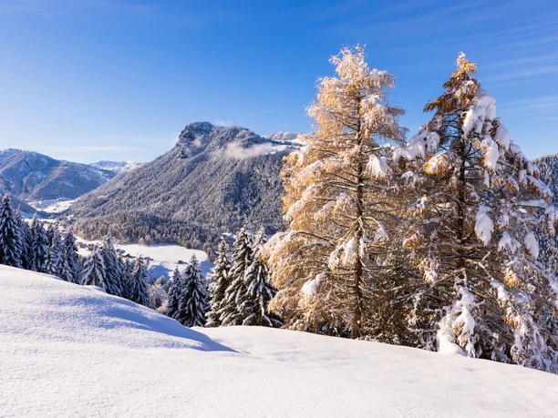 Weitsicht ab Springenboden Diemtigtal, A. Wittwer Photography