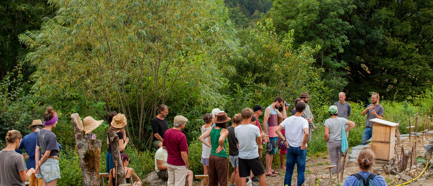 Spezialführung: Insektenpflanzen