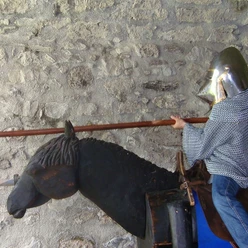 Die Zeit der Ritter im Schloss Spiez erleben