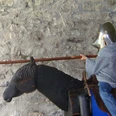 Die Zeit der Ritter im Schloss Spiez erleben