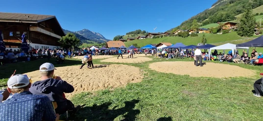 IMG 20251110 WA0017