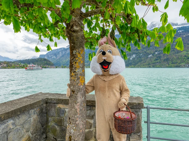 Osterhase mit Schiff im Hintergrund