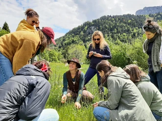 Spezialführung: Essbare Wildpflanzen