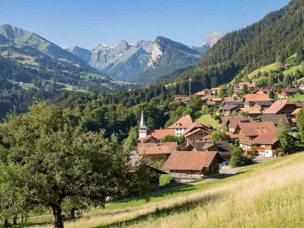 Blick auf Dorf Diemtigen