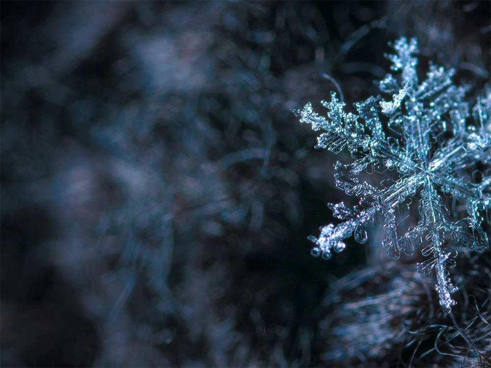 Winterkonzert Musikverein Interlaken Unterseen