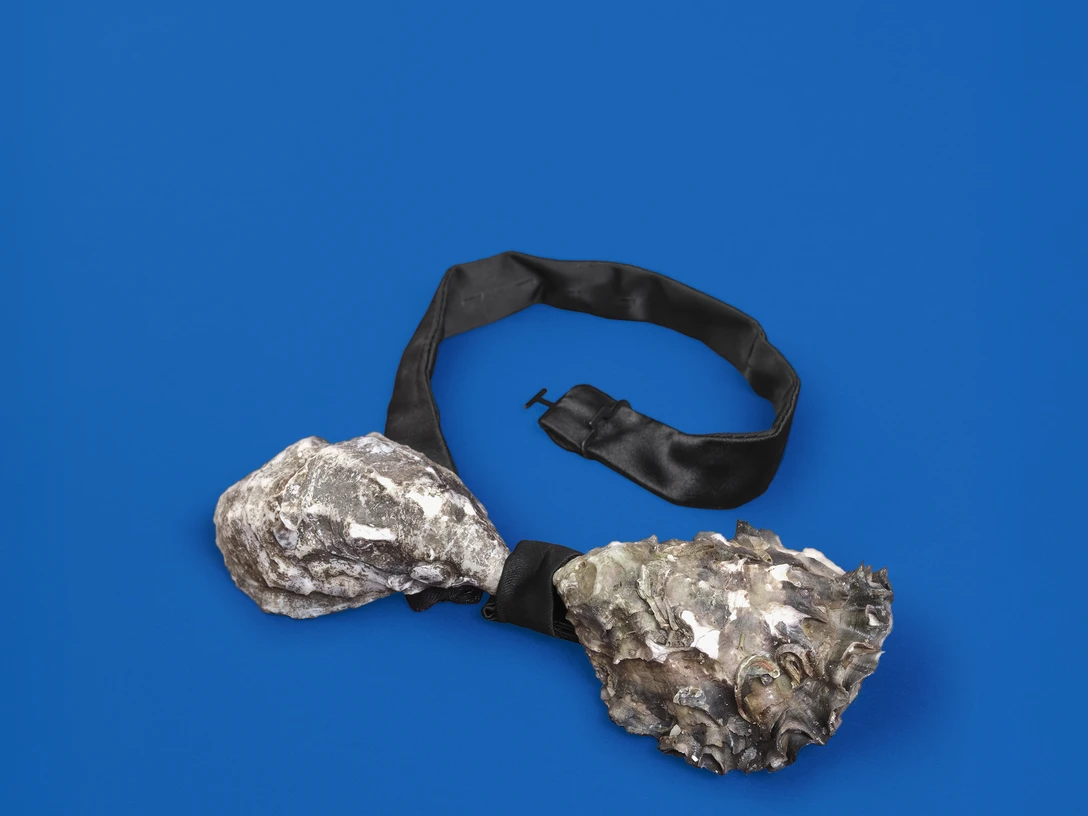 TiT 25 26 Valse valse valse