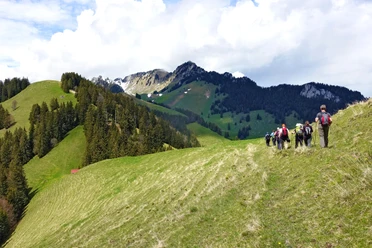 Wandergruppe Simmental