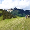 Wandergruppe Simmental