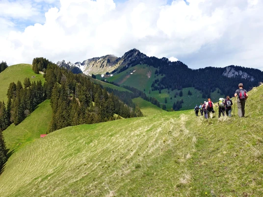 Wandergruppe Simmental