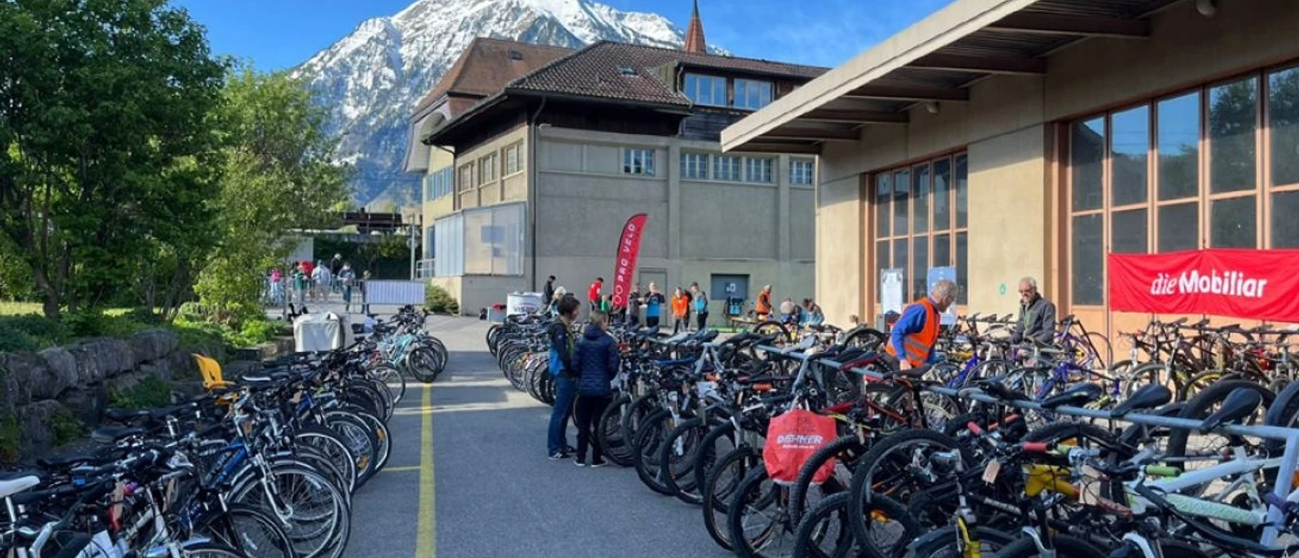 Z7t6wn702ml24vfe4ck4nqu2mem0qfg6