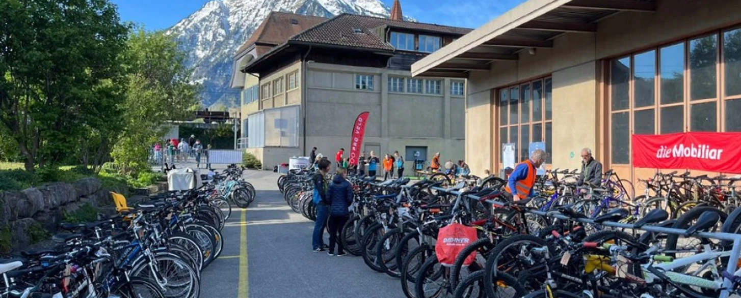 Z7t6wn702ml24vfe4ck4nqu2mem0qfg6