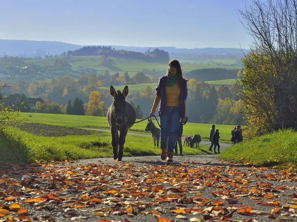 00008_DonkeyTour_Okt15