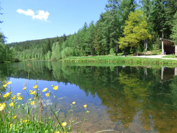 Langbrunnenweiher mit Grillplatz