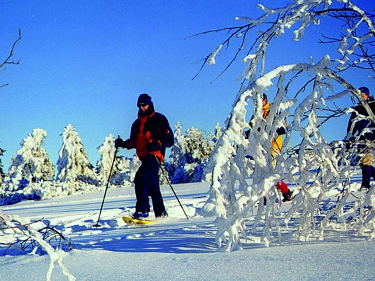 Schneschuhwanderer einzeln