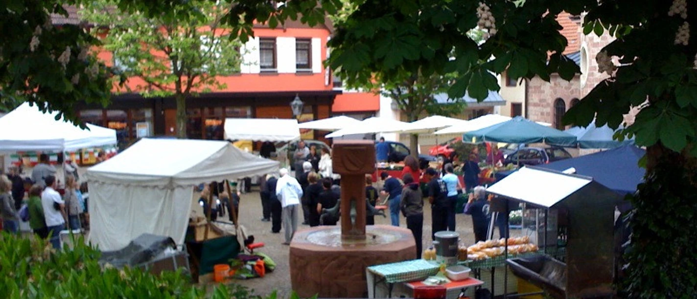 Samstagsmarkt auf dem Place Faverges