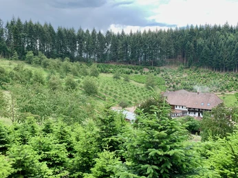 Rastplatz "Über'm Kapelleckhof" - Ausblick