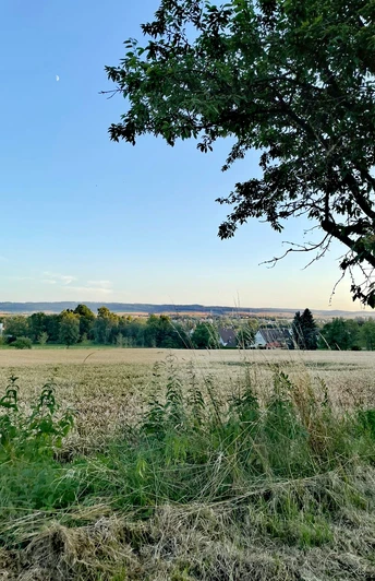 Blick vom Einbecker Stadtwald in die weite Landschaft.
