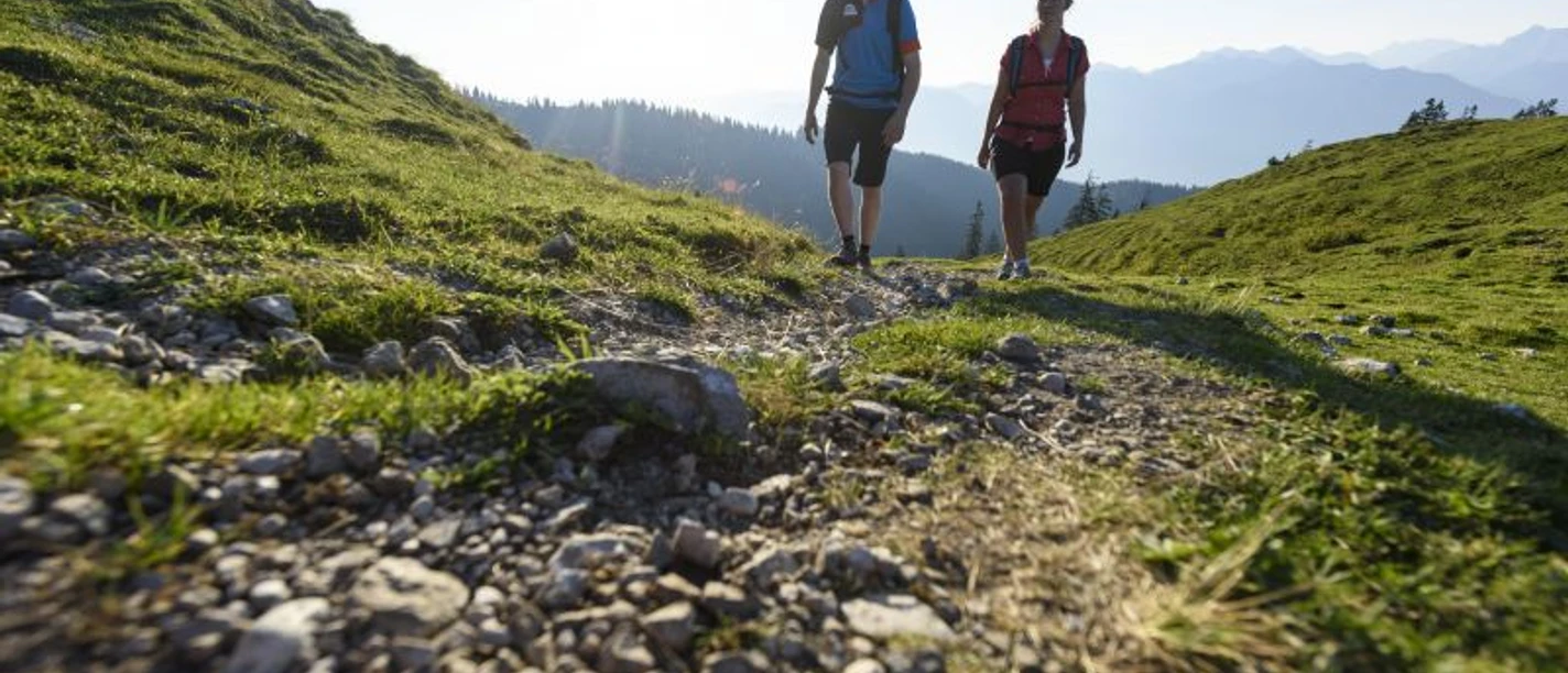 Begleitete Wanderung über Urfeld zum Jochberg (Hin&Rückfahrt mit dem Bus)