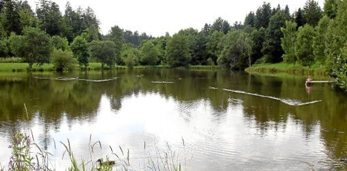 Der Bömbachsee