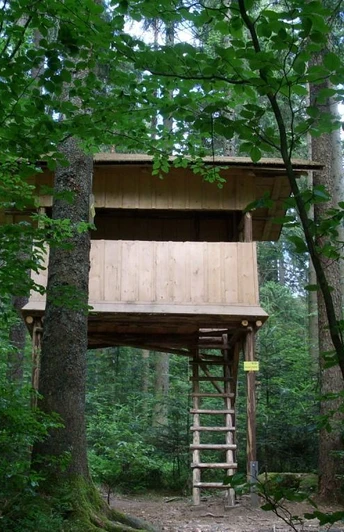 Das Baumhaus im Naturerlebnispfad Freudenstadt