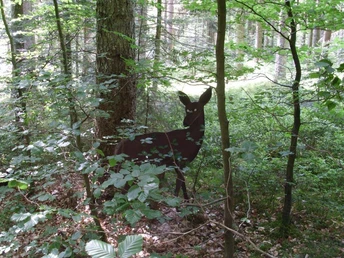 Tiersilhouetten finden auf dem Jägerweg