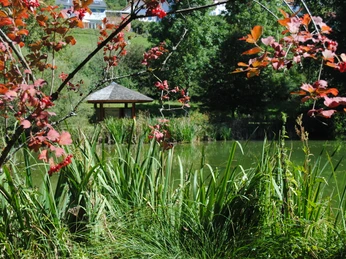 Naturschutzgebiet Heimbachaue