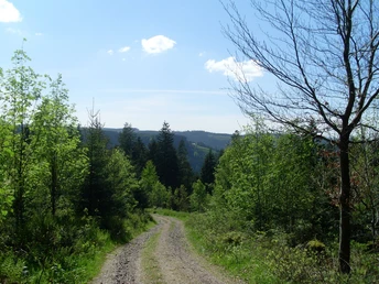 Ausblick oberhalb der Birkleshütte Richtung Stöckerkopf