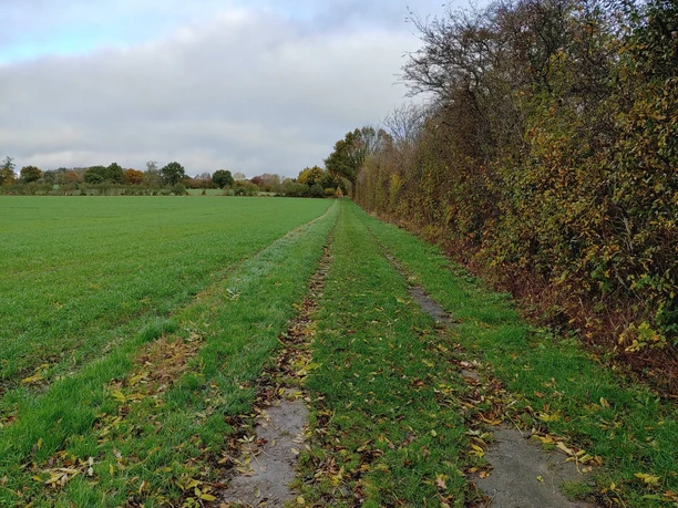 Am Knick entlang.jpg