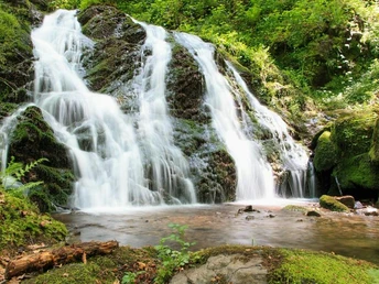 Naturnahe Aufnahme des Holchenwasserfalls, mit herabfließendem Wasser über Felsen und dichtem Grün im Hintergrund