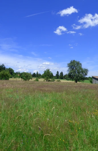 Bärenwiesen Freudenstadt