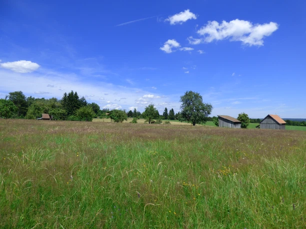 Bärenwiesen Freudenstadt