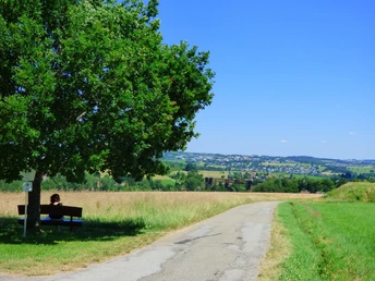 Karl-Maier-Bank mit Radweg und Blick Richtung Wittlensweiler und Hallwangen
