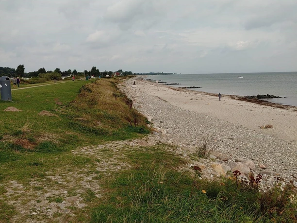 Strand Hasselberg.jpg