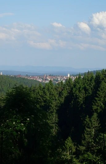 toller Blick Richtung Freudenstadt