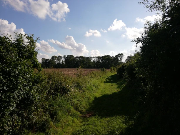 Hohlweg Richtung Holm.jpg