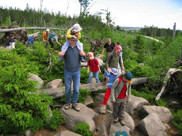 Nationalpark Schwarzwald/Lotharpfad