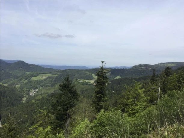 Aussicht ins Renchtal und über den Schwarzwald