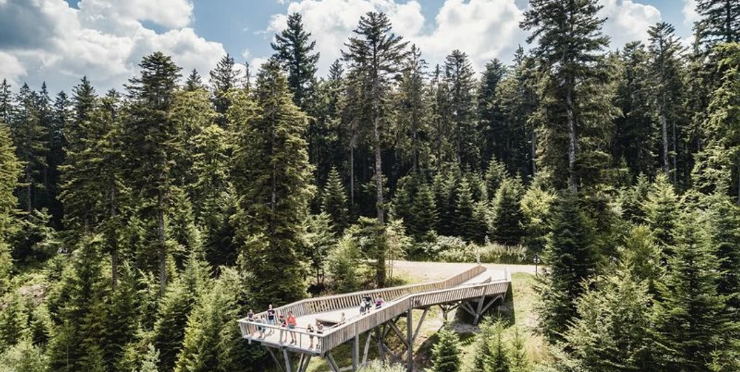 Der Ellbachseeblick aus der Vogelperspektive