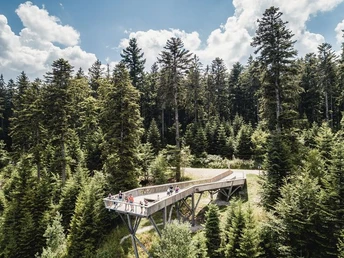 Der Ellbachseeblick aus der Vogelperspektive