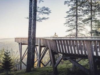 Barrierefreie Aussichtsplattform über den Ellbachsee und das Ellbachtal